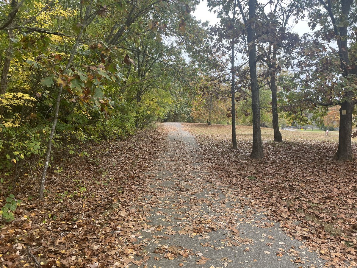 Before the rain. #warwickcitypark