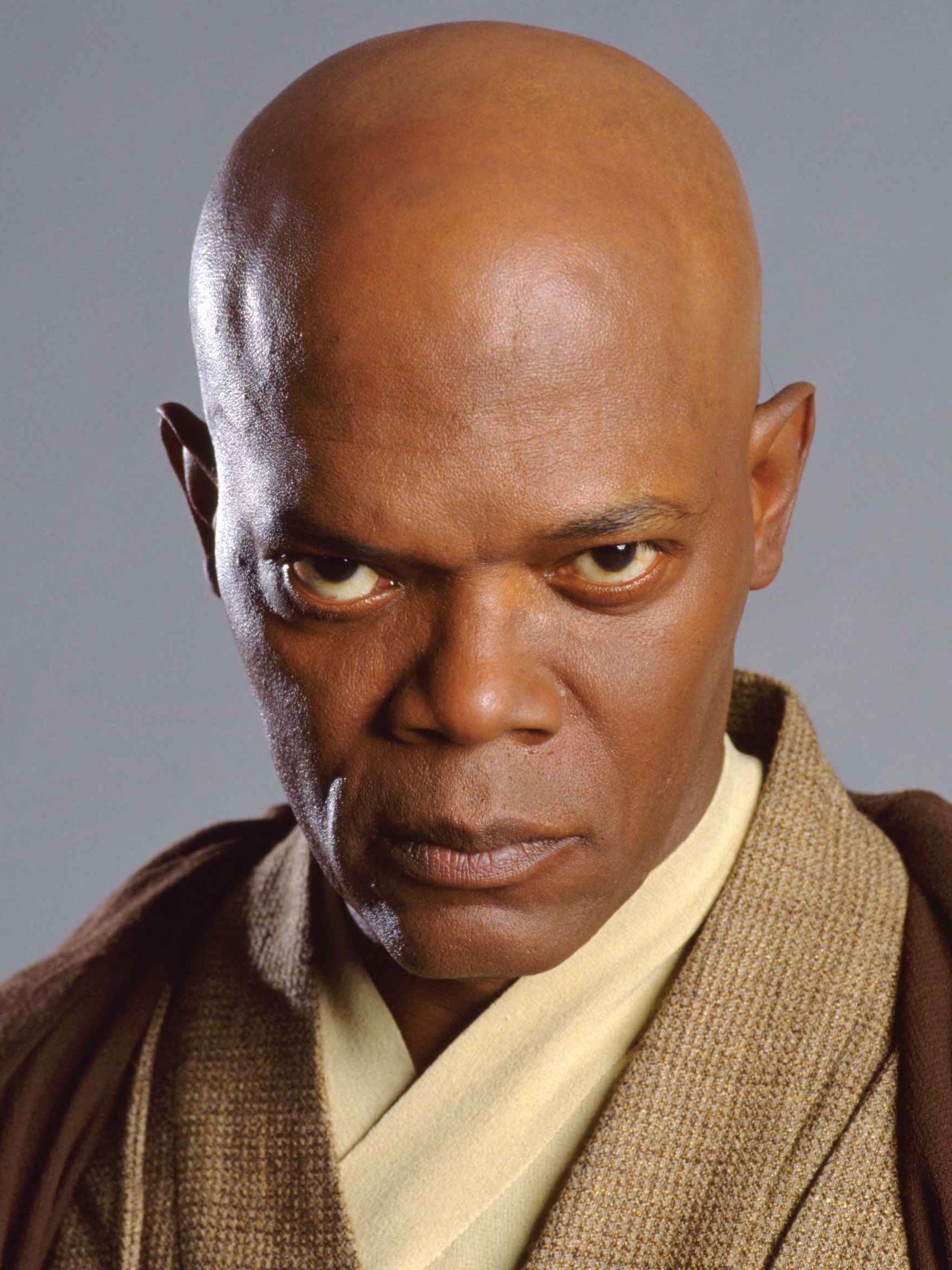 Mace Windu (MasterVaapad) / Twitter