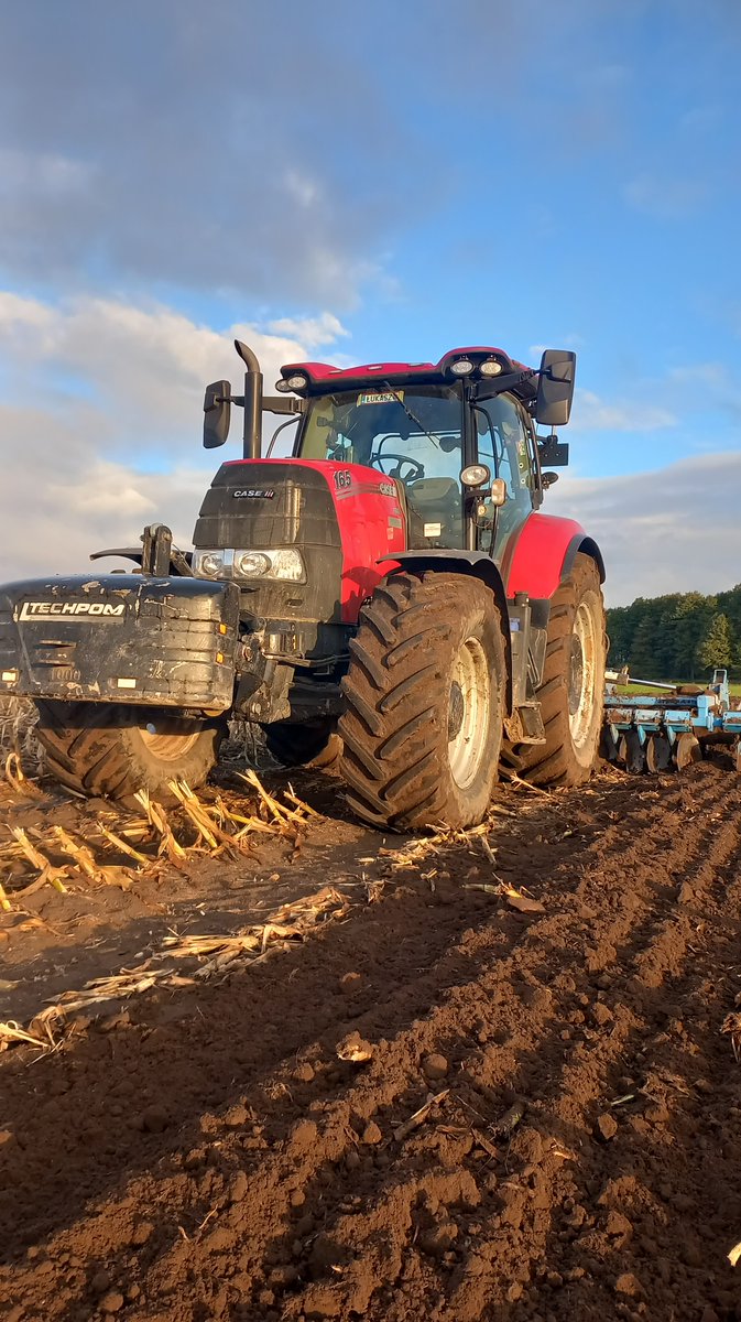 profiMagazin's tweet photo. Zu sehen ist ein #Case IH Puma 165 CVX mit einer #Mandam Scheibenegge. https://t.co/PWVzR6uUHh