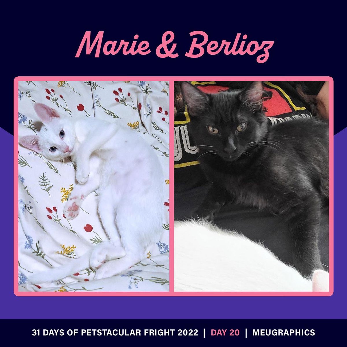 Meugraphics's tweet photo. Day 20/31 #31daysofpetstacularfright
Marie and Berlioz are a powerful pair! Berlioz with his powerful wizard abilities and Marie just mushrooming around!  #drawlloween #Drawtober2022 #illustrator #cuteart https://t.co/D3Iff8ds6K