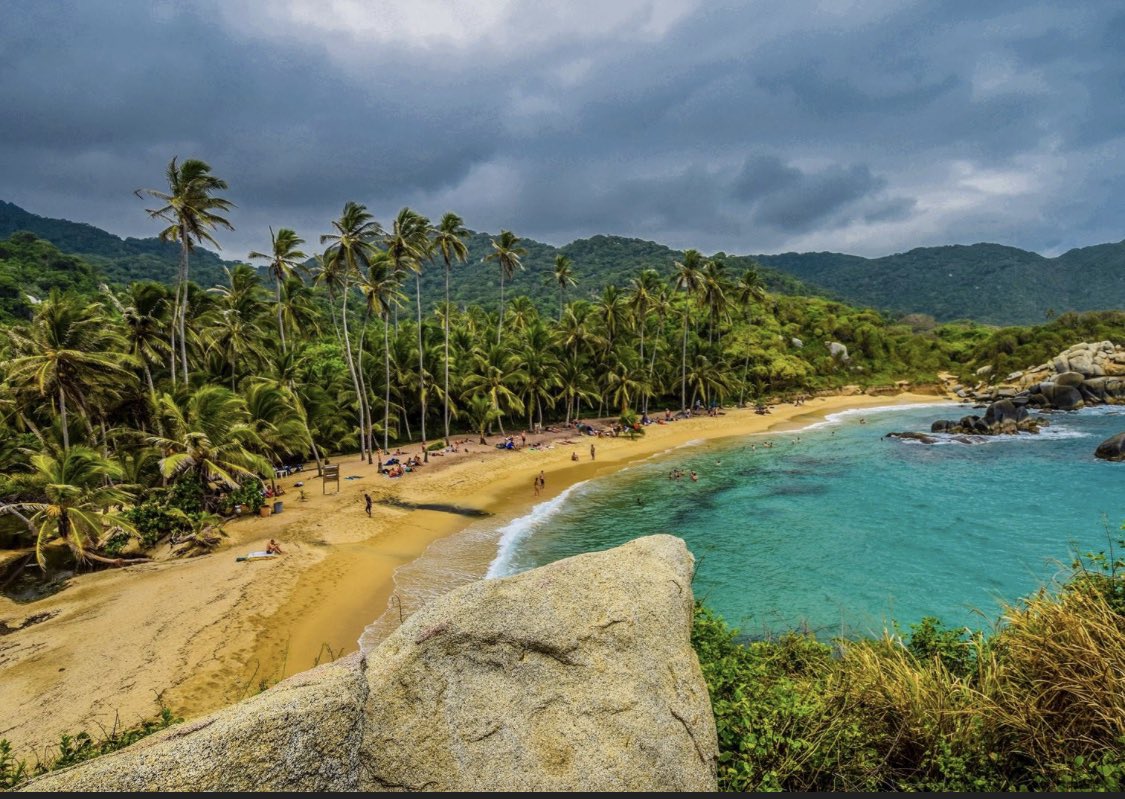 Eva Clark tweet media