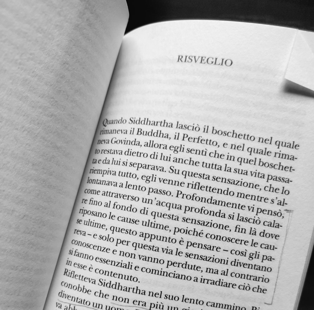 matte_marcolin's tweet photo. Si fanno essenziali https://t.co/cjkywsGtPF