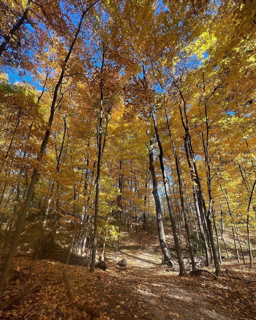 Fall foliage in all its glory. #11miles