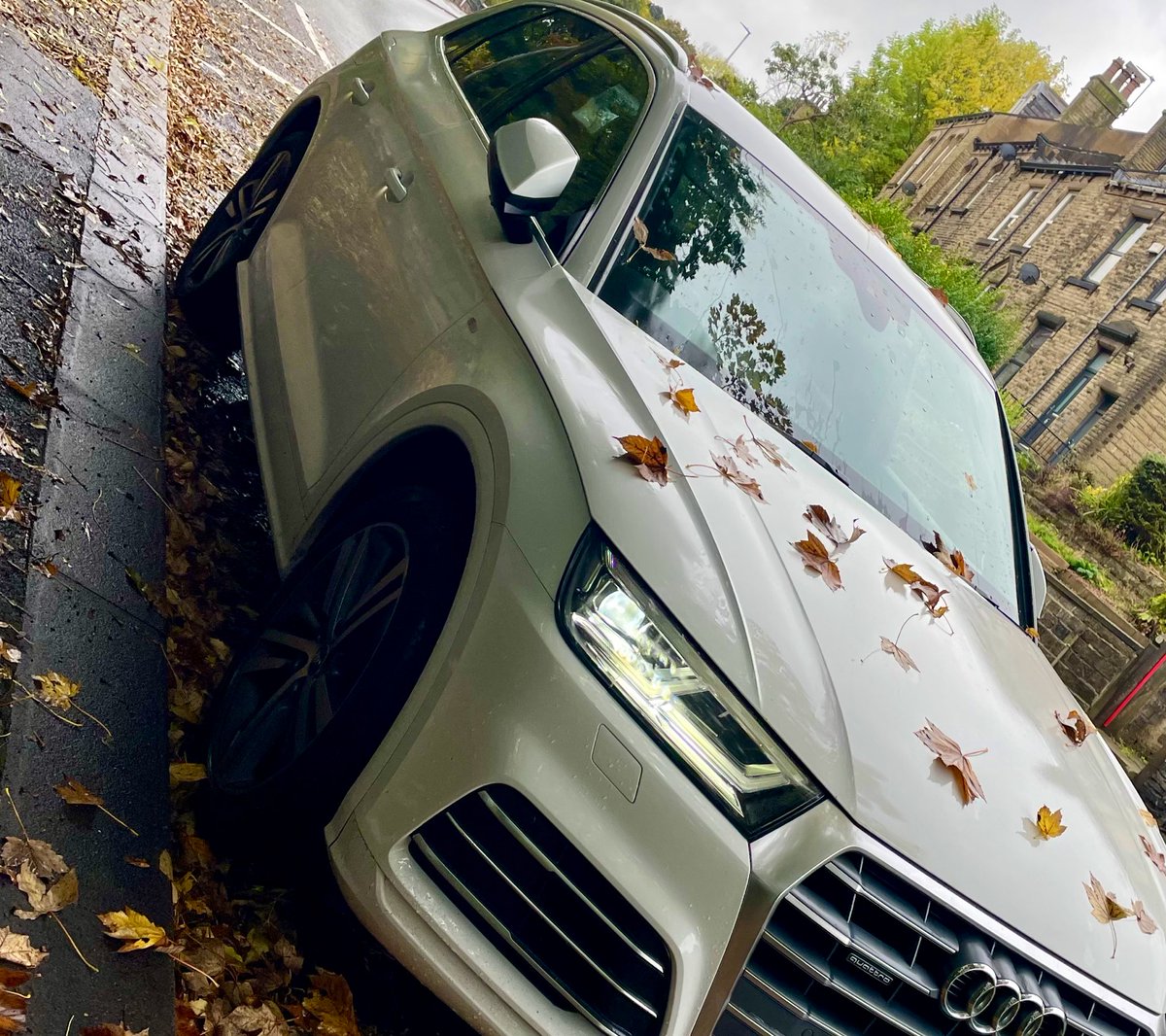 ShaunSwales's tweet photo. Autumn is here when you have to brush leaves off of your car everyday! #autumn https://t.co/90BU2Q8Kil
