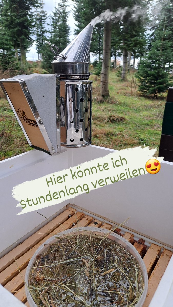BirgitBeeHappy's tweet photo. Die letzten "süßen" Vorbereitungen sind fertig und mit reichlichem Wintervorrat können unsere fleißigen Mädels diese Woche noch mit Goldenen Temperaturen den Oktober ausklingen lassen🌲💛🐝🌳🍁🍃🐝🍂 bevor den lange kalte Winter hieroben kommt❄️🌨☃️Bee😍Happy🐝 https://t.co/esiVeafN8B