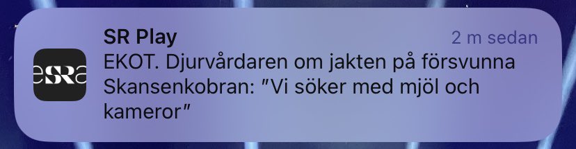 oskawr's tweet photo. har ni testat Ljus &amp; Lykta? https://t.co/iwJV33O6Rk