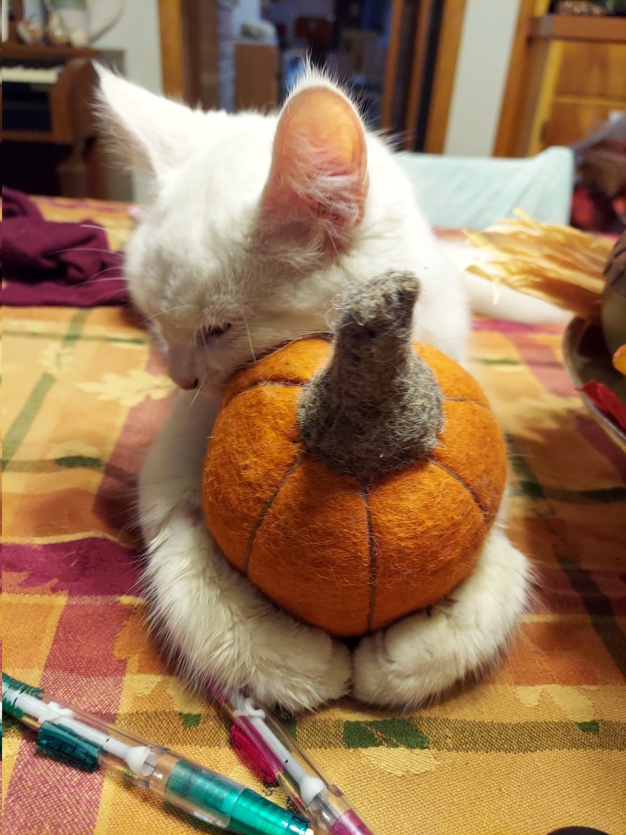 Bad_Babette's tweet image. Somtimes, you just got Hug an Pumpedkin