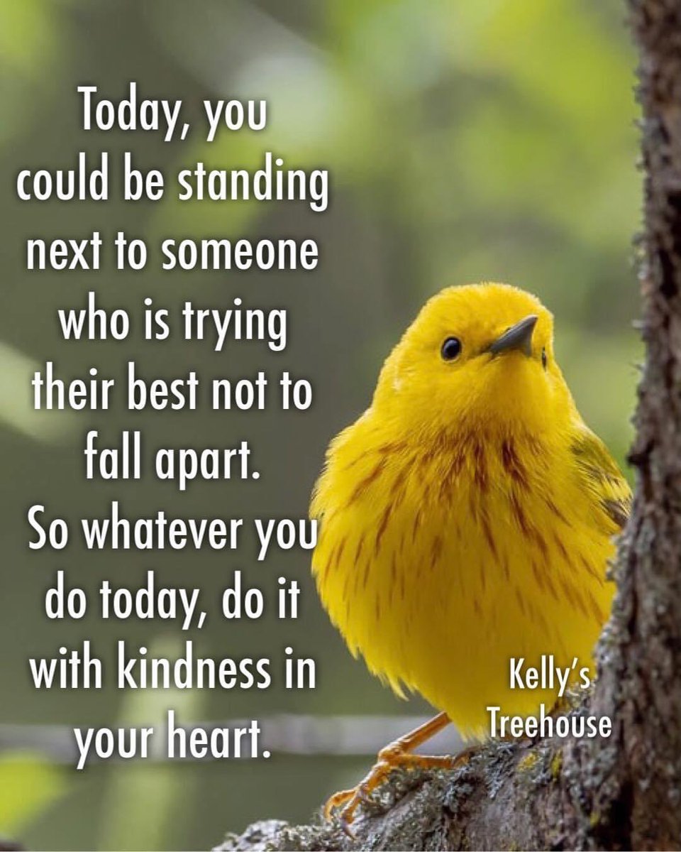 💛🌿Words To Ponder🌿💛