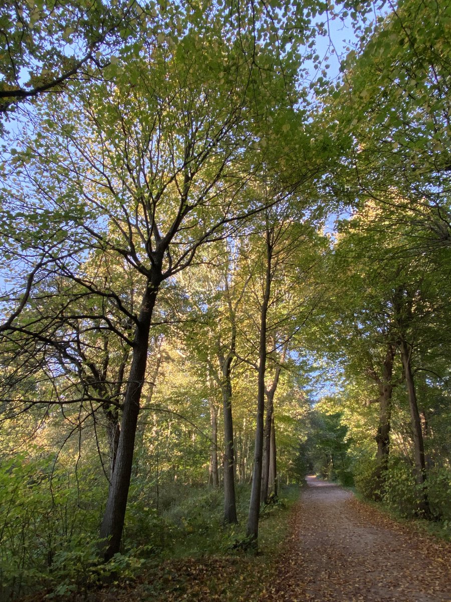 Wat ben je mooi #Herfst
