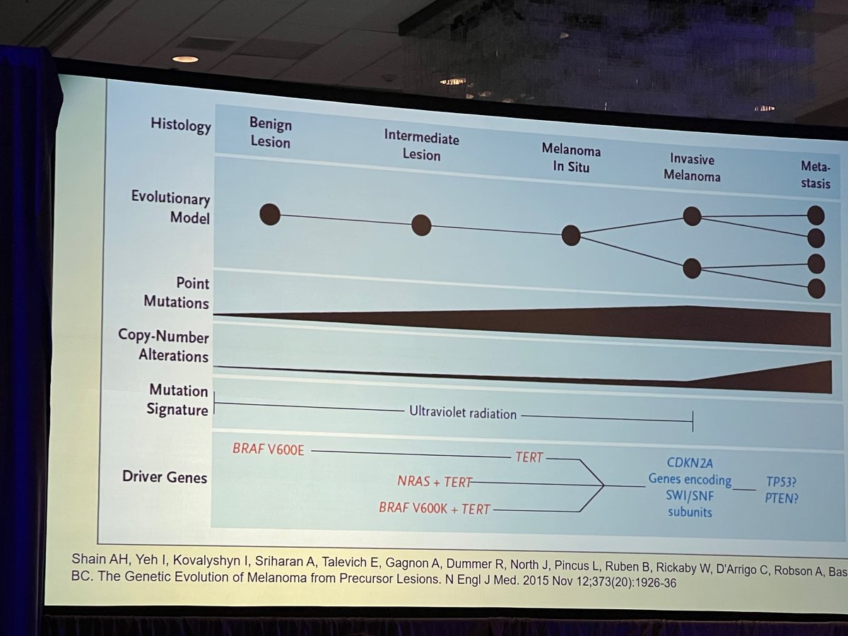 Olabisi34638607's tweet photo. And it’s a wrap! Thanks #ASDP22 @ASDPTweets, till next time… https://t.co/Hv4oBOw0aL