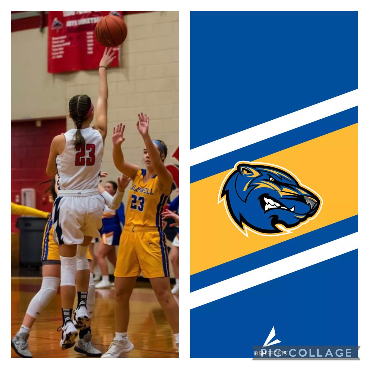 I’m so thankful to receive an offer from <a href="/BresciaWBB/">Brescia Women's Basketball</a> it was good talking to <a href="/CoachGray_BU/">Coach Mike Gray</a>