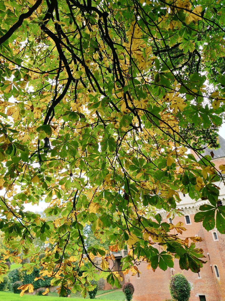 #Rambures #HautsdeFrance se pare de ses couleurs d'automne 🍁🌳🍂