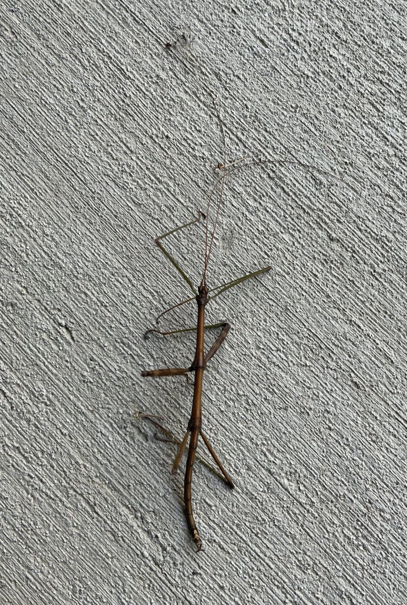 jdimig's tweet photo. Sunday bike ride in Little Rock - took it easy today - then met new friends on the patio - #850challenge keeping up the fight to better treat kidney diseases https://t.co/vVASFLSzh4