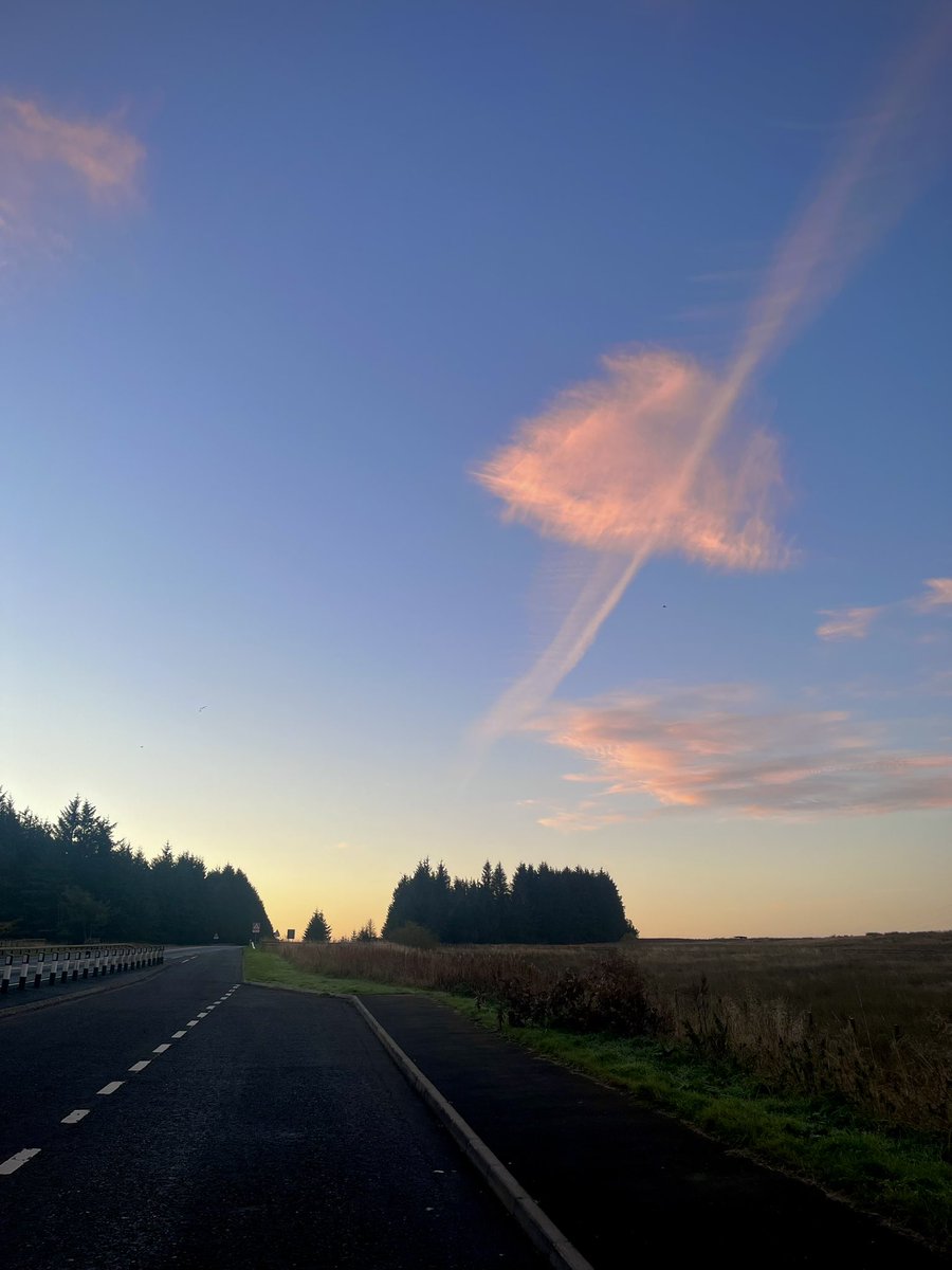 CaitlinSlt's tweet photo. A collection of sunrises from my commute 🌅 can’t believe I’ve been working as an SLT for 4 weeks now #MySLTDay https://t.co/98BfULBslU