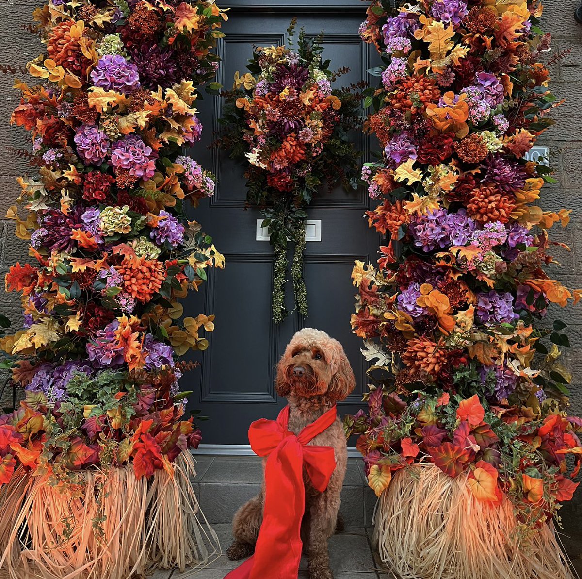 Kayleighsmiiith's tweet photo. 🎃🍂🍁🎃 https://t.co/5JUPTFp4uh