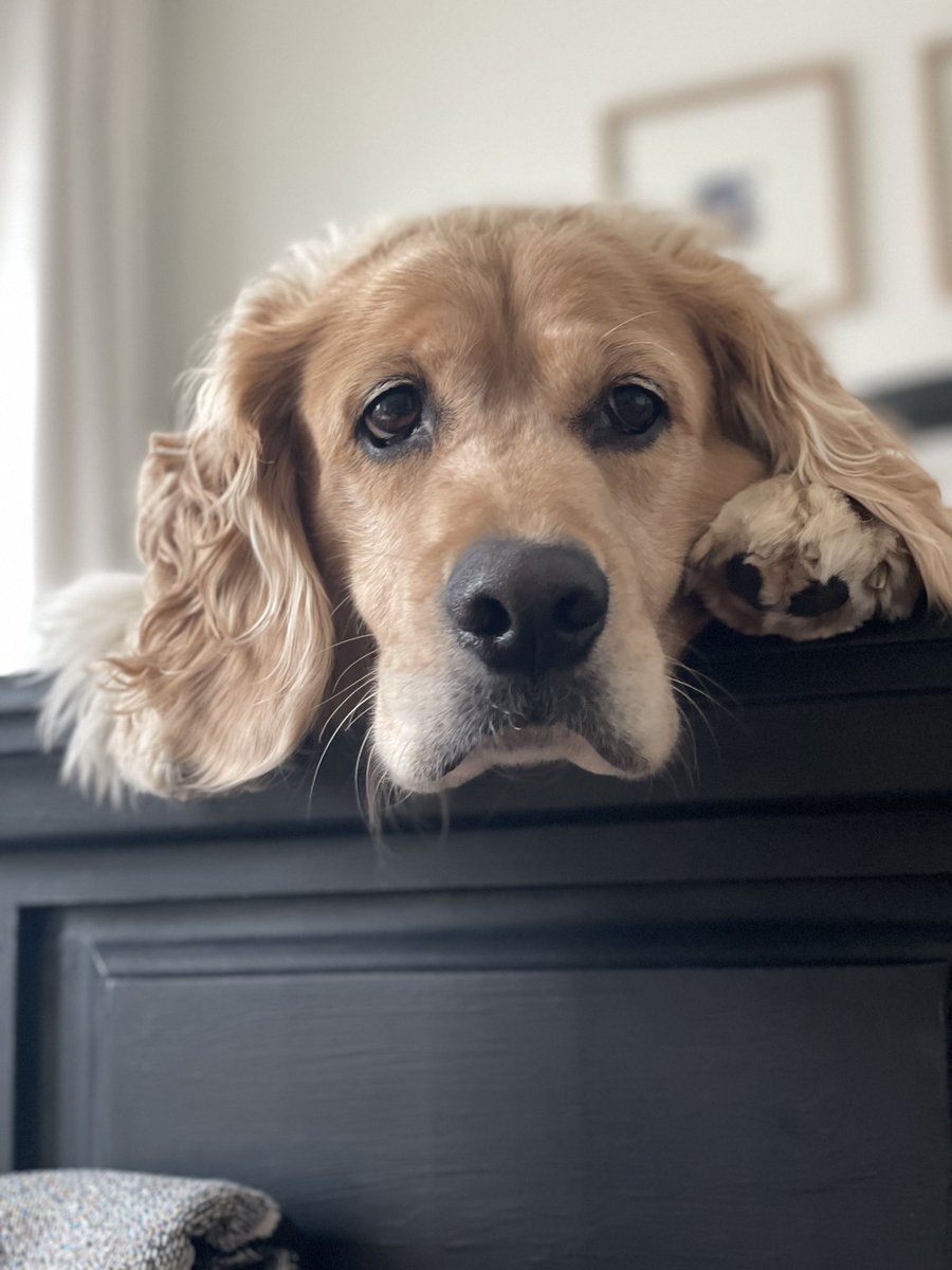 Catherine McMichael tweet media