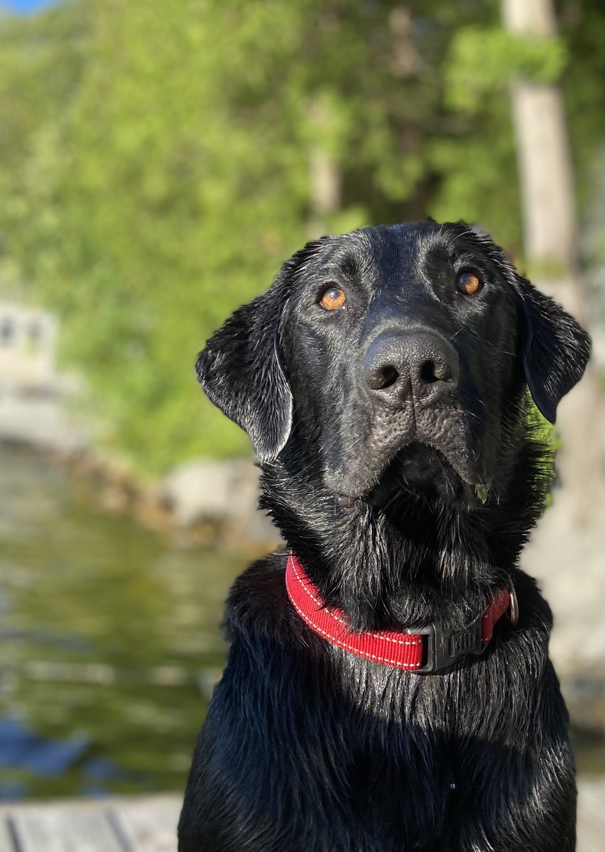 Catherine McMichael tweet media