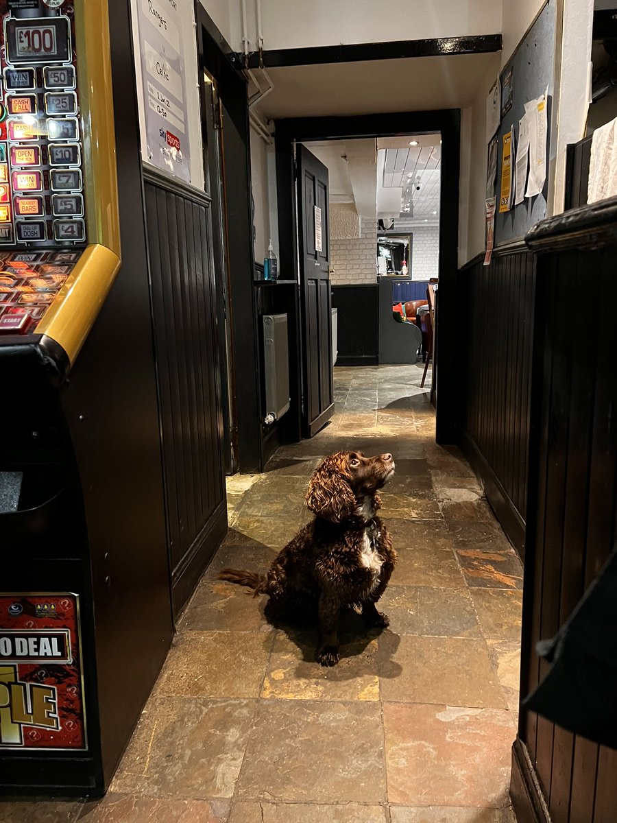 Tarka McSpaniel (@tarkamcspaniel) on Twitter photo There’s an Egyptian Chilli Naan on the go in the First & Last. There’s an Egyptian Chilli Naan on the go in the First & Last.