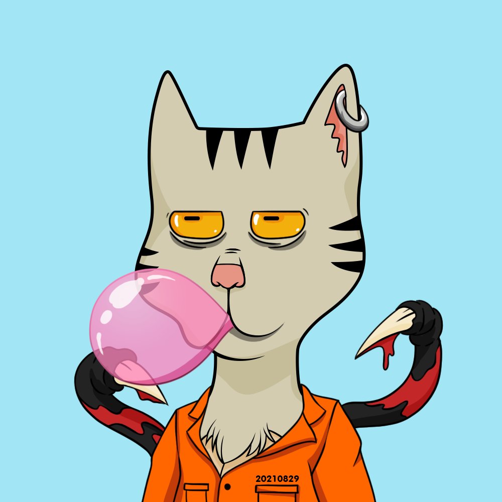 $avocato 🔥🫱 tweet media