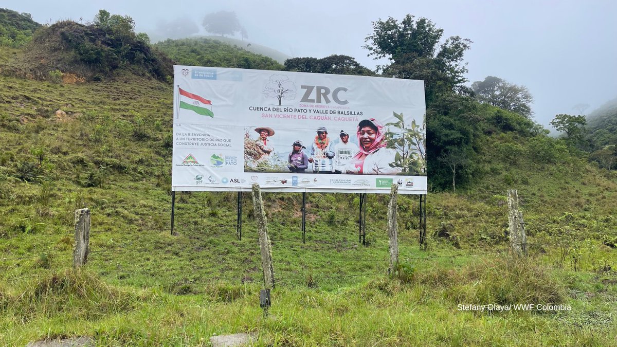 WWFColombia's tweet photo. Las Zonas de Reserva Campesina son espacios para que campesinos puedan tener una vida sostenible. Una de ellas es la Reserva El Pato-Balsilla, que ha logrado forjar una identidad a partir de su historia y prácticas de conservación. Conozcan su proceso.⬇️
https://t.co/HBYfcHATYg https://t.co/iHJxMC42FG