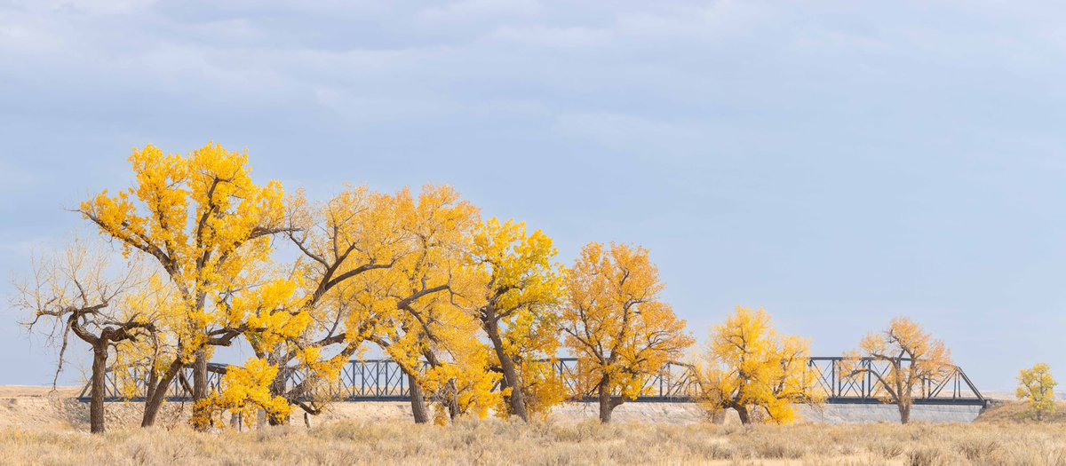 Fall in northeastern Montana 🤘🍂