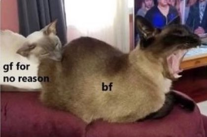 GIVE ME CUDDLES (@freakcuddles) on Twitter photo 