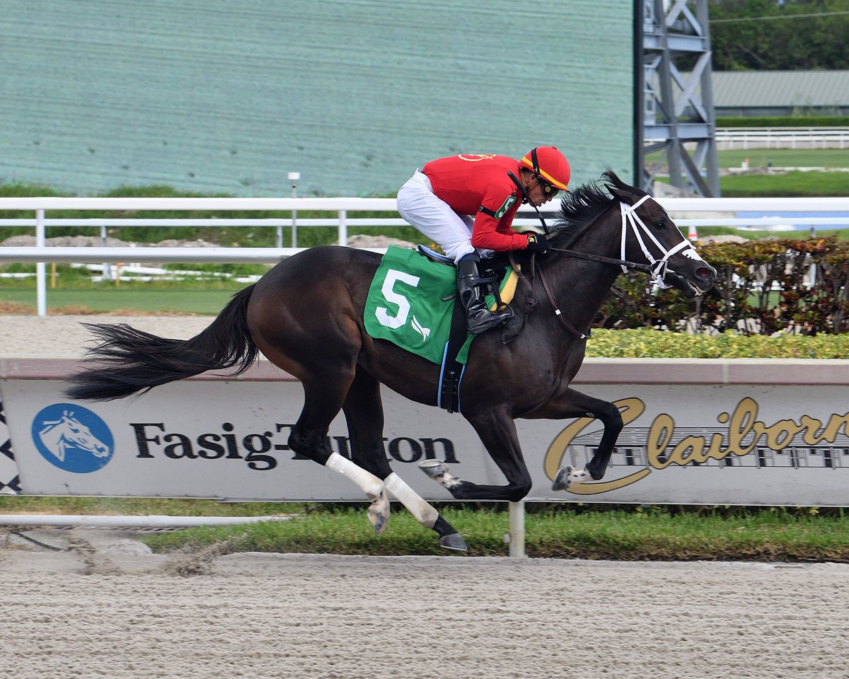 Gulfstream Park On Twitter First Starter Spy Hunter Delivers A 