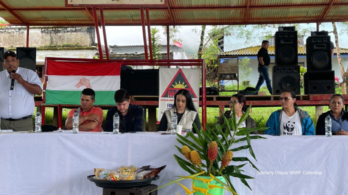 WWFColombia's tweet photo. Las Zonas de Reserva Campesina son espacios para que campesinos puedan tener una vida sostenible. Una de ellas es la Reserva El Pato-Balsilla, que ha logrado forjar una identidad a partir de su historia y prácticas de conservación. Conozcan su proceso.⬇️
https://t.co/HBYfcHATYg https://t.co/iHJxMC42FG