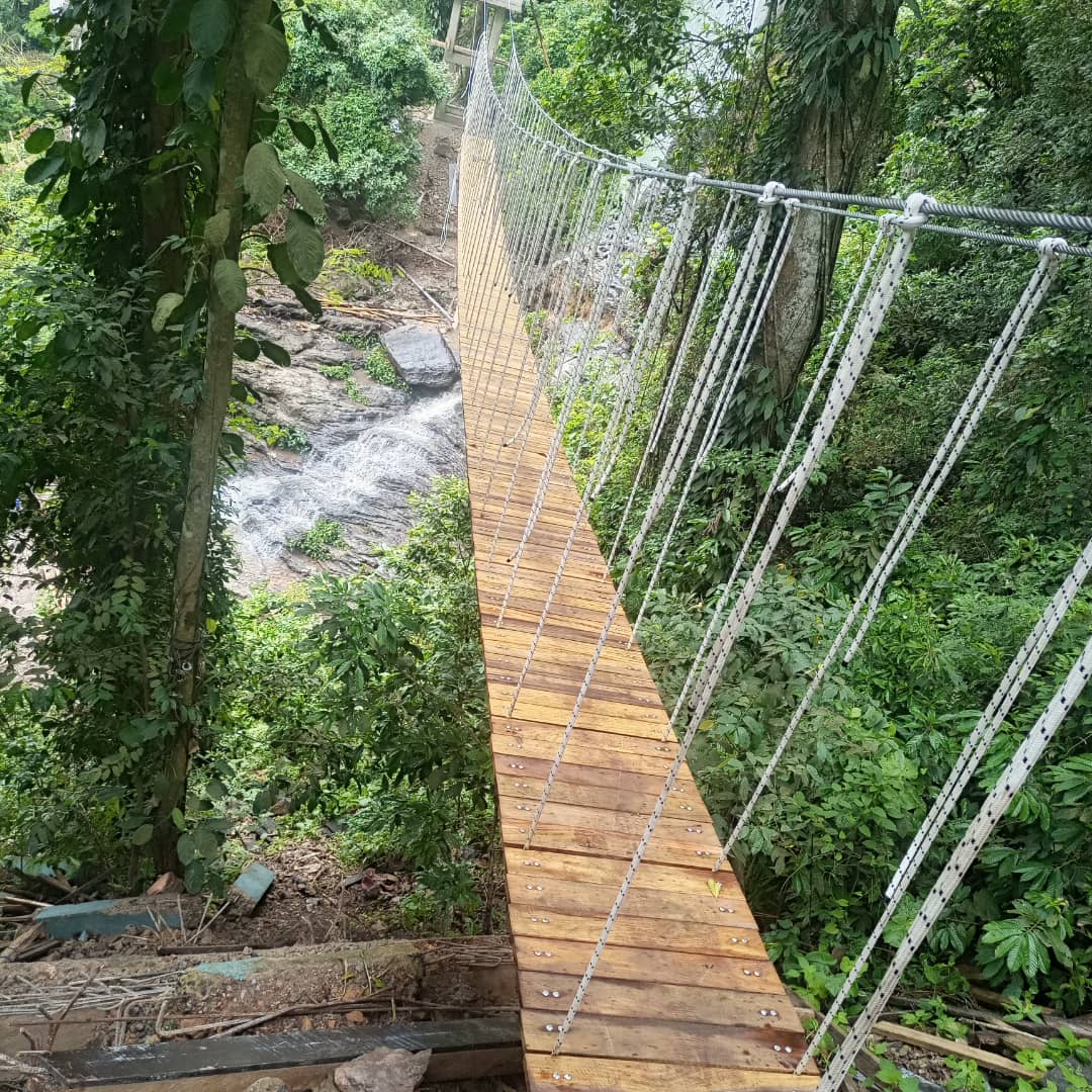 AfricaFactsZone's tweet photo. Canopy Walkway at Ote Waterfalls in Amedzofe in the Volta Region of Ghana. https://t.co/aLgaotYrqY