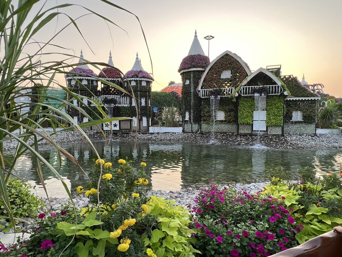 KranthikumarN3's tweet photo. #MiracleGarden #2022 #Dubai https://t.co/ioTlqBnIpf