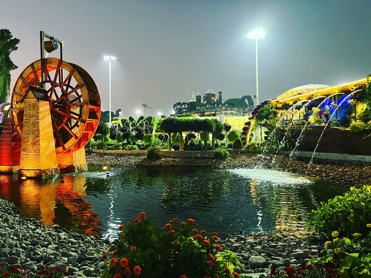 KranthikumarN3's tweet photo. #MiracleGarden #2022 #Dubai https://t.co/ioTlqBnIpf