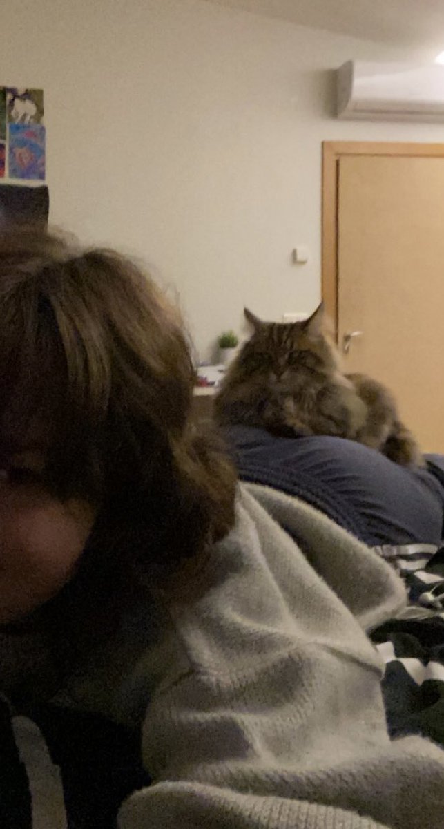 dj nevykele tweet media