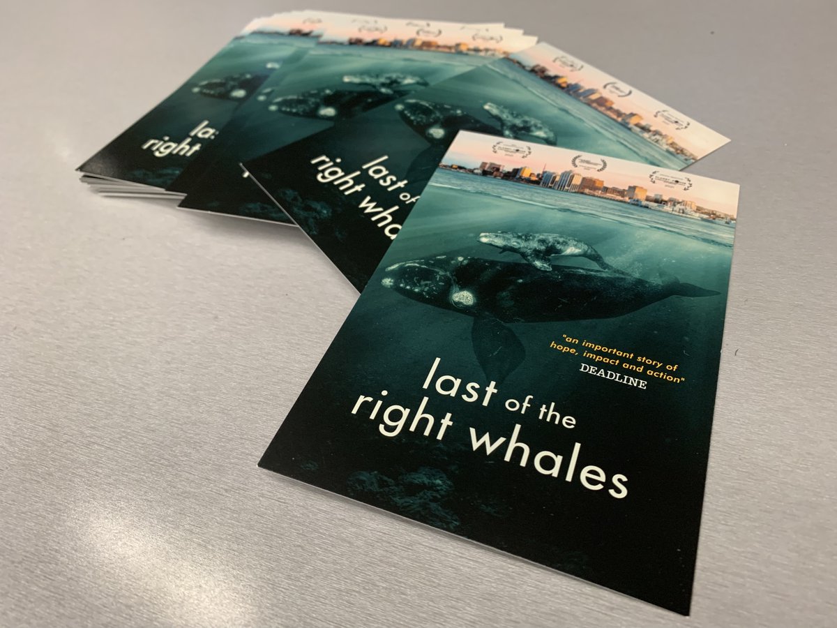 U of T Mississauga Alumni tweet media