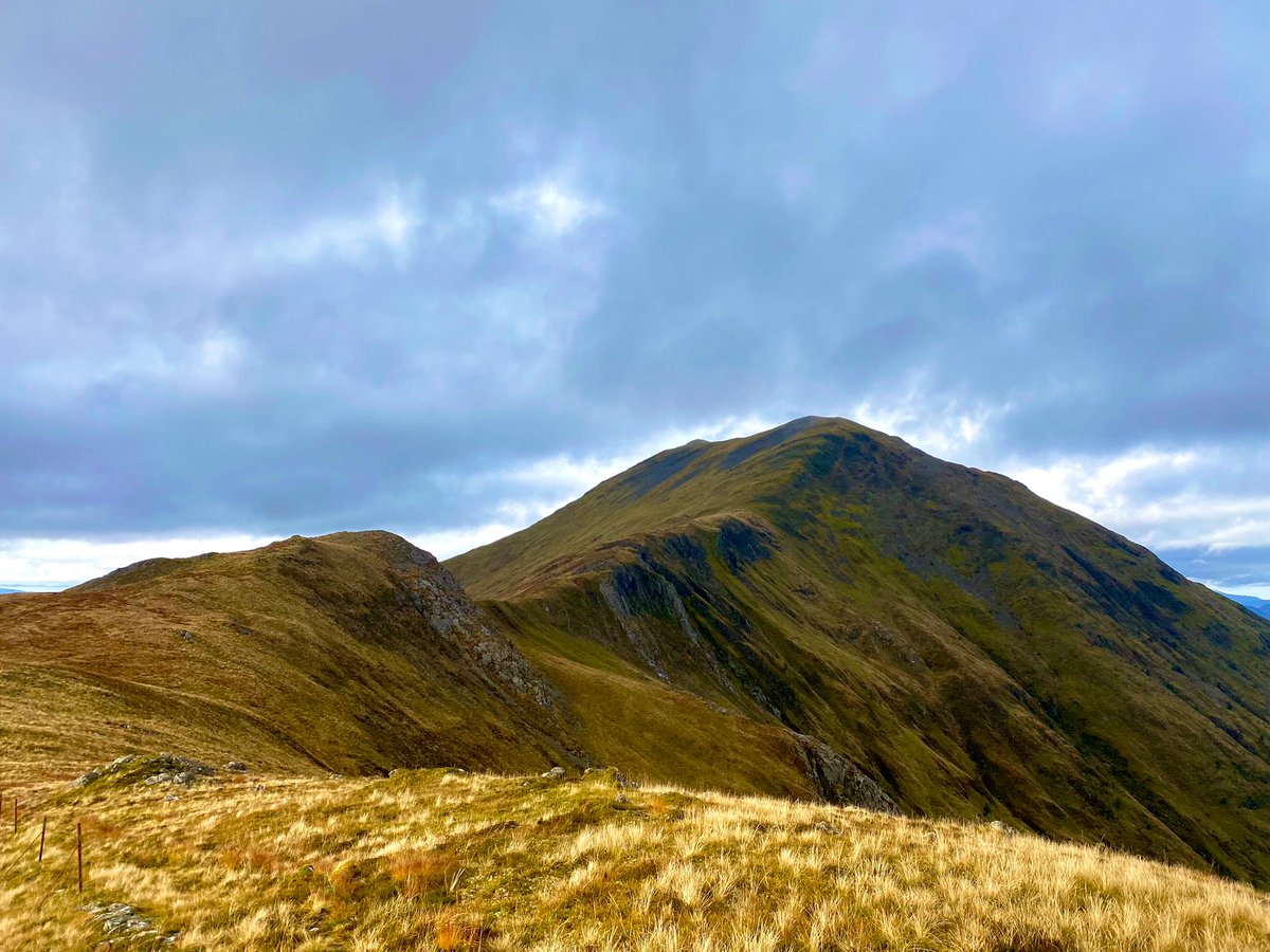 Dr Max Holloway tweet media