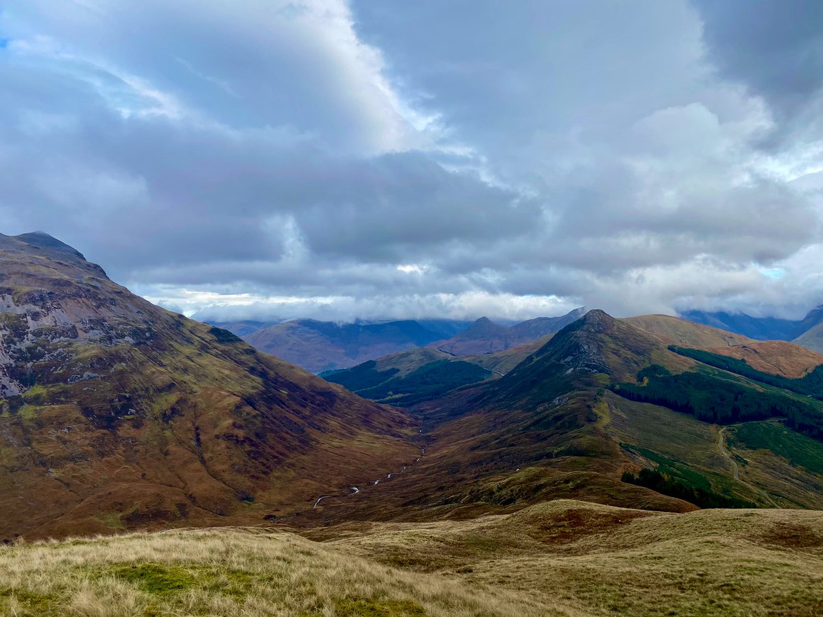 Dr Max Holloway tweet media