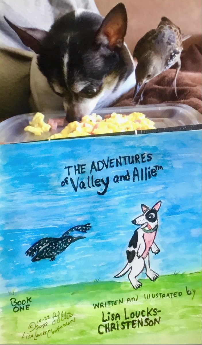 lisasbookstores's tweet photo. Here is my inspiration to my new picture book series,  THE ADVENTURES OF VALLEY AND ALLIE™, Valentine the Chihuahua and Allie the starling sharing breakfast. All of my art and 99% of my books are sold exclusively at Peacock Books &amp; Wildlife Art.https://t.co/3NGMzu29dD https://t.co/eicDx3vQml