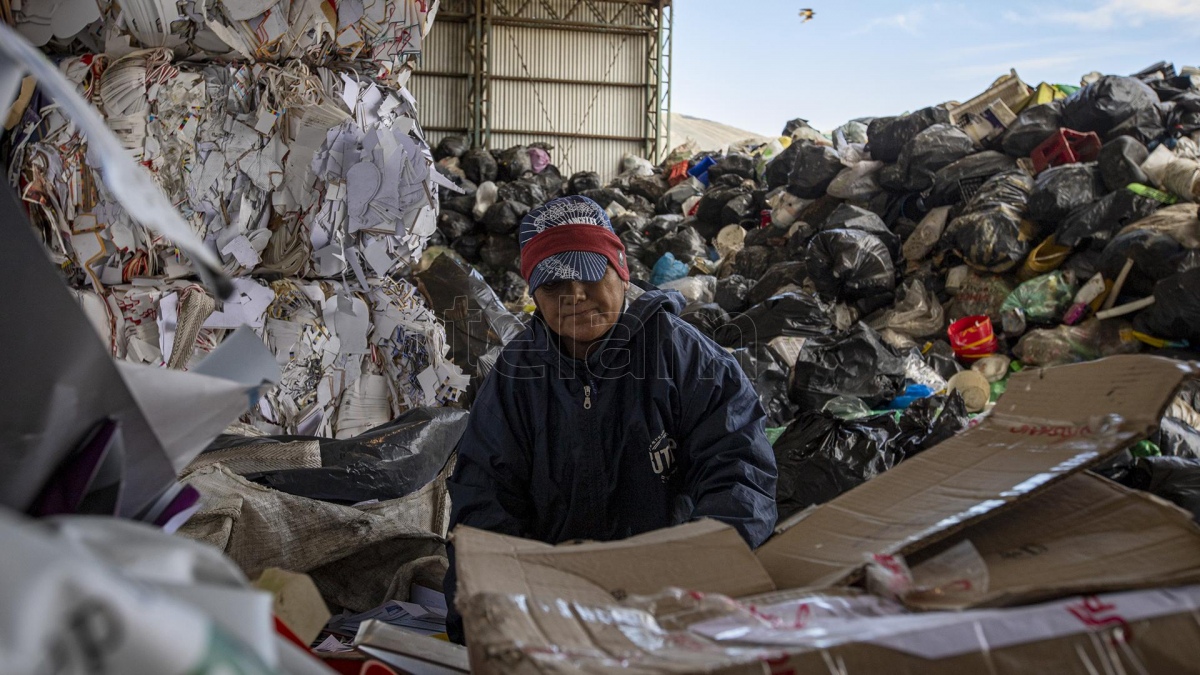 marceloCena's tweet photo. Secretario general de la Asociación Sindical Única de Recicladores Argentinos (Asura), Fabián Framarín: "Queremos que se reconozca al trabajador del reciclado con todos sus derechos".
Les comparto mi nota en @AgenciaTelam, #BuenDomingo
https://t.co/aH1WEU6rty https://t.co/cjOWDiinM4