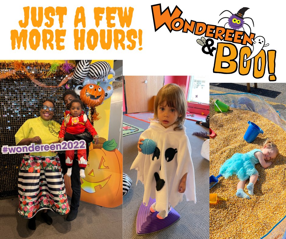 Wonder Works tweet media