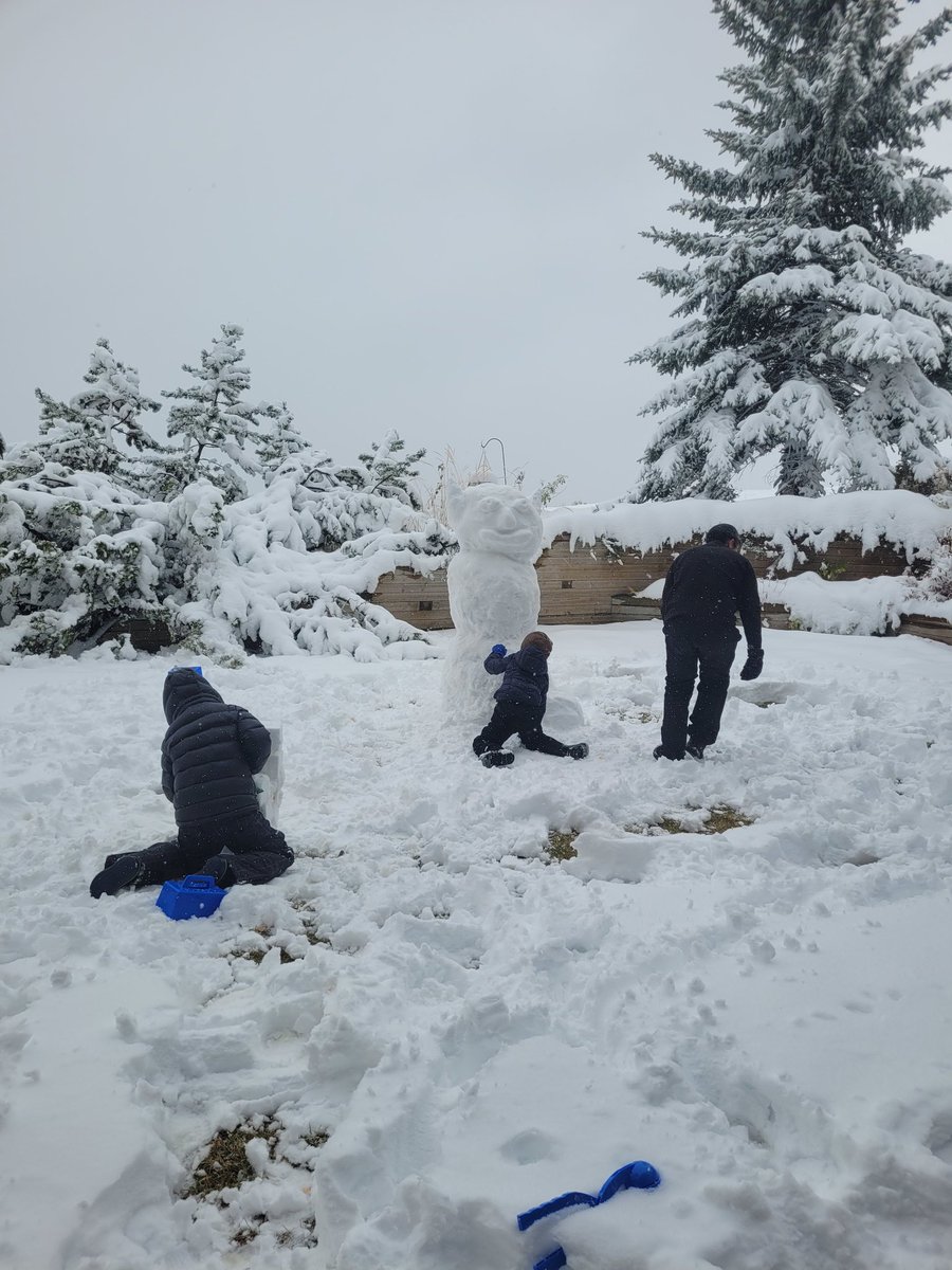 ExcitedBrains's tweet image. Do you think it is toooo cold in #Calgary...not at all. This will allow me to run 5km for #jogginfornoggin in a full dragon onzie without being too warm!
#snowinoctober #runcalgary #Neurosurgery #neurotwitter