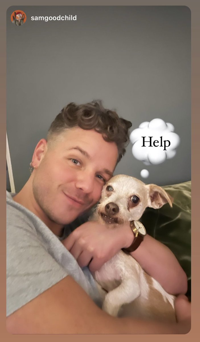 David Ames tweet media