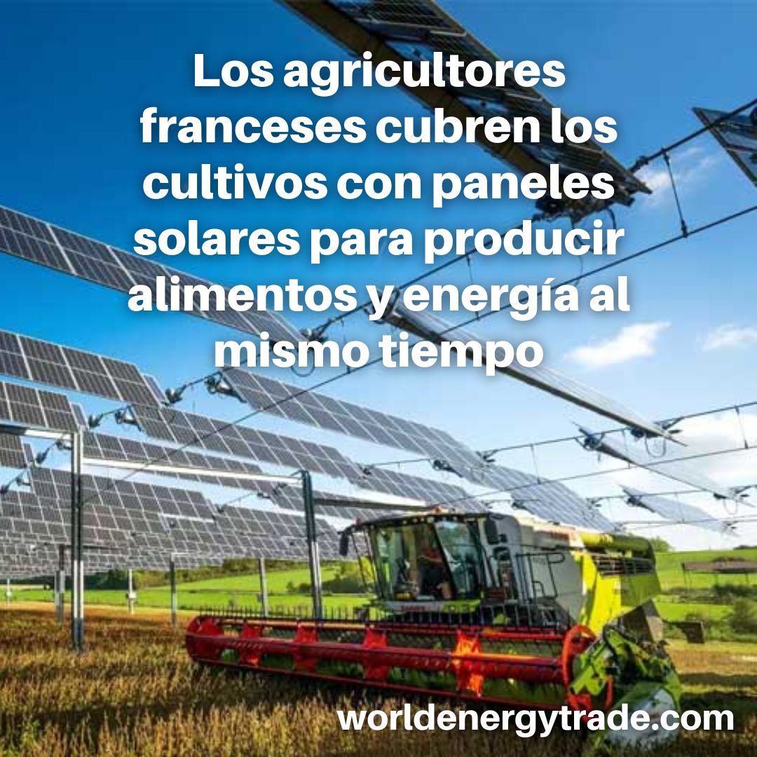 WorldEnergyWire's tweet photo. La agrivoltaica -la práctica de utilizar la tierra para la energía solar y la agricultura- está en aumento en toda Francia 👨‍🌾⚡ https://t.co/7uwWfGE6vV

#solar #renovables #Francia #lifestyle #farm https://t.co/iaN4aMY12x