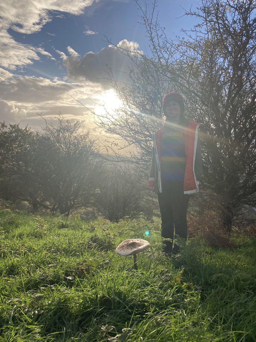 Giant mushroom found on the Malverns late afternoon today. Alice in Wonderland scale modelled here by my daughter. 🤔