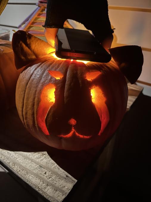 VCentrall's tweet photo. Congrats to our #Vtubers at #VCentral for winning the pumpkin carving contest! πLets hear it for @GoodDragonGF for winning the online contest and @PheeENVT for winning the IRL contest! Thanks for all those who participated and below are the honourable mentions! π» https://t.co/RiPMMuqFWg