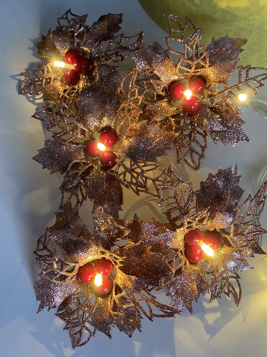 annagti93's tweet photo. New 😁set of 10 rose gold glitter fairy lights https://t.co/TBcBf6CxUL #HandmadeHour #handmadebyme #handmadenation #crafthour #xmas #decorations #love https://t.co/K9zxP6CBSc