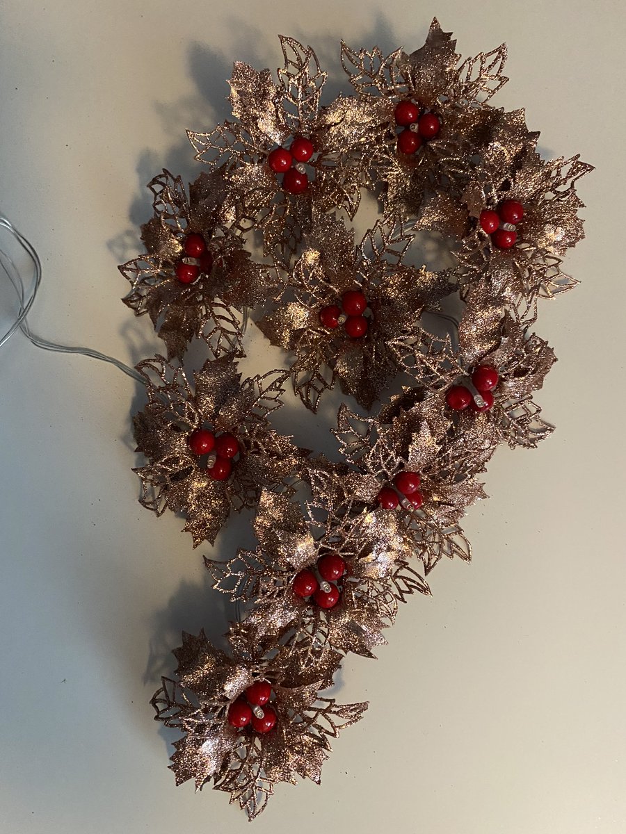 annagti93's tweet photo. New 😁set of 10 rose gold glitter fairy lights https://t.co/TBcBf6CxUL #HandmadeHour #handmadebyme #handmadenation #crafthour #xmas #decorations #love https://t.co/K9zxP6CBSc