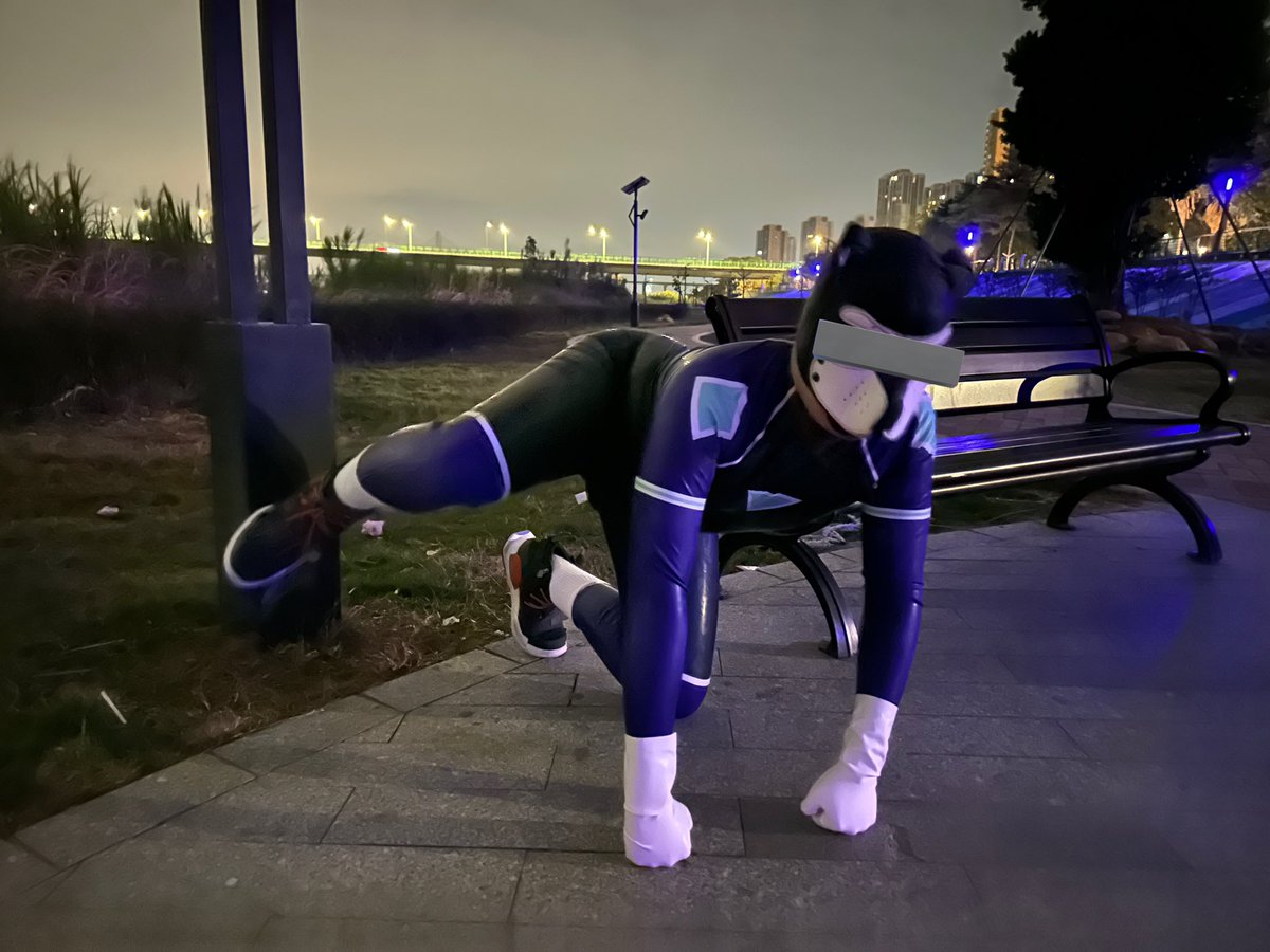 狗狗灰 tweet media