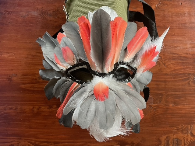 alexfoundation's tweet photo. REMINDER: Thursday,11/03 is the deadline to buy tickets for our FEATHER MASK raffle. To enter, purchase through our PayPal: 1 ticket for $3; 5 tickets for $10; 10 tickets for $20. Include the text "Mask". https://t.co/95fhwbNZCC https://t.co/MPL5EMQbpQ