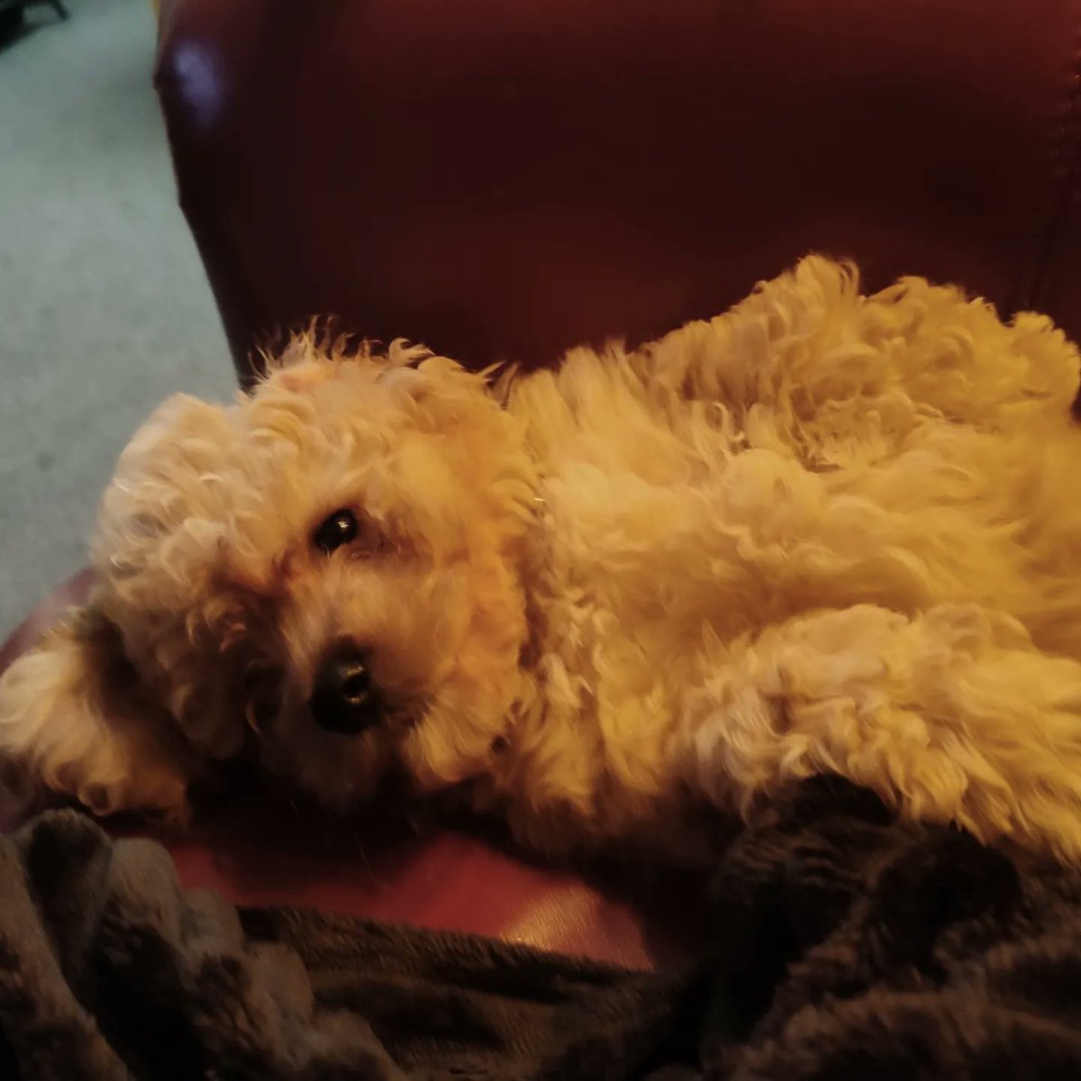 Katie ❤️🏴 tweet media