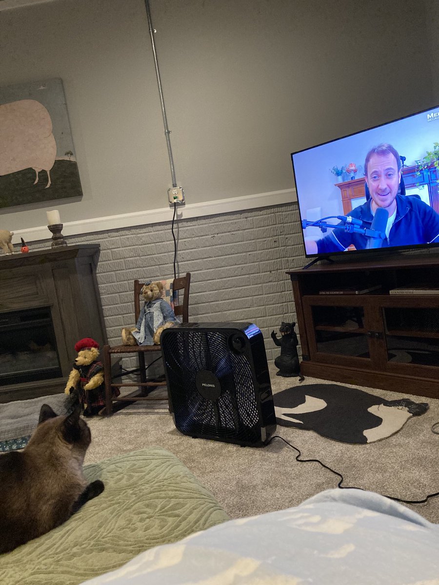 ⁦@MeidasTouch⁩ Even my cat enjoys your YouTube videos.