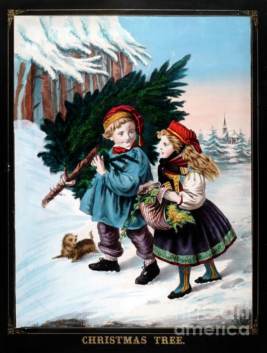 New artwork for sale! - "Christmas Tree" - fineartamerica.com/featured/chris… <a href="/fineartamerica/">Fine Art America</a>